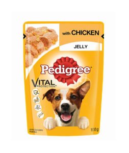 Pedigree Gravy Adult Dog Food Pouch Chicken in Jelly 100g